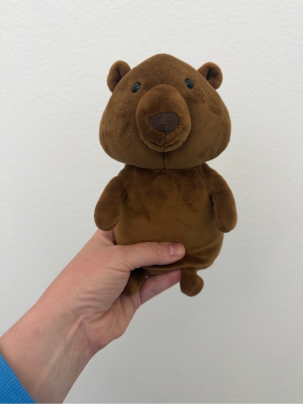 Jellycat Campfire Critter Bear